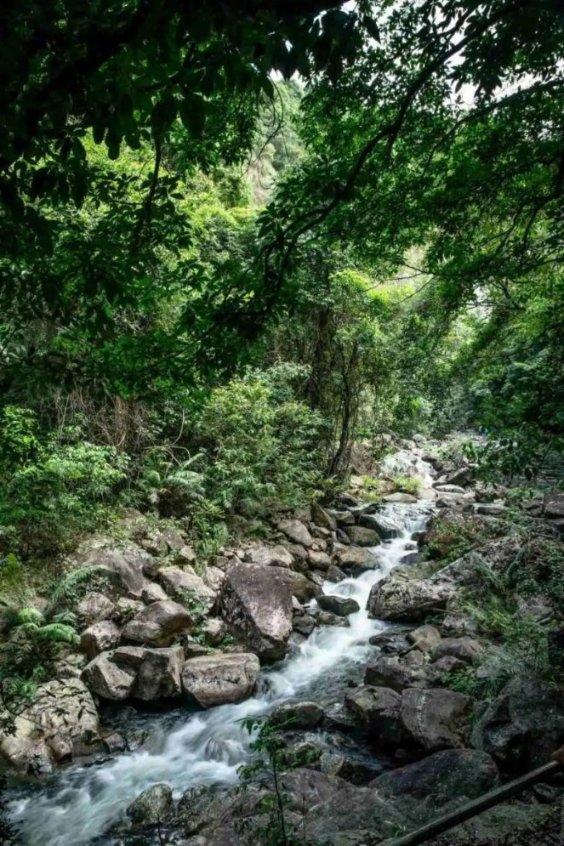 春雨直播app